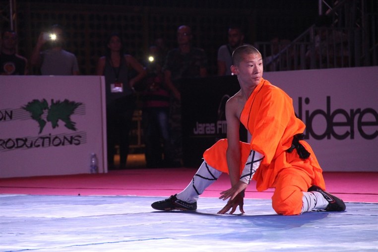 Martial Arts Festival
